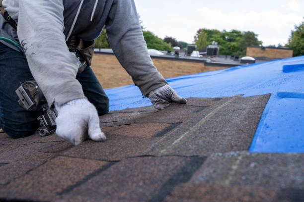 Best Commercial Roofing Services  in West St Paul, MN