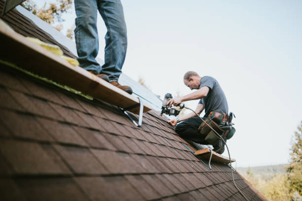 Best Metal Roofing Contractor  in West St Paul, MN