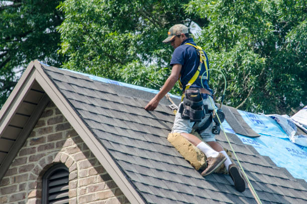Best Residential Roofing Contractor  in West St Paul, MN